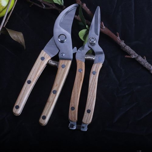 果树修枝剪刀装家用园艺剪刀回弹修枝剪树枝剪刀花艺剪子