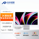 RICHVISION未来视野 23.8英寸2K显示器100Hz办公设计屏RV100miniQ