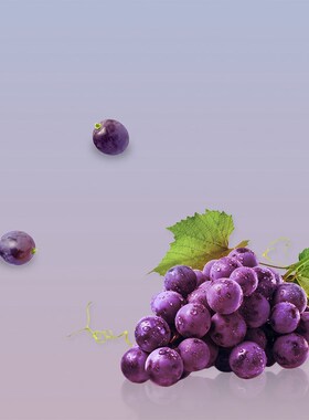 绿色粉色紫色渐变拍照背景纸摄影背景板大尺寸美食静物摄影道具