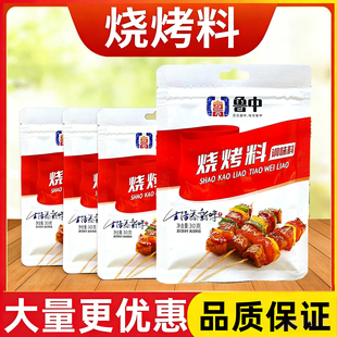 鲁中烧烤料30g袋装 蘸料烧烤腌制料煨肉料烤肉蘸料撸串撒料调味