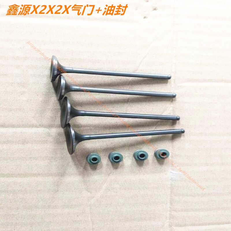 越野摩托车鑫源X2X2X银钢250六天AIX1四气门发动机气门/油封件