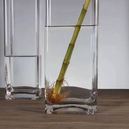 水培瓶方形款大号插富贵竹竹子银柳水培插