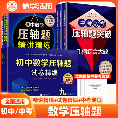 初中数学挑战压轴题精讲练