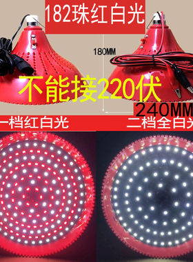 72红色灯低压灯泡水果灯生鲜灯LED卤菜熟食灯夜市
