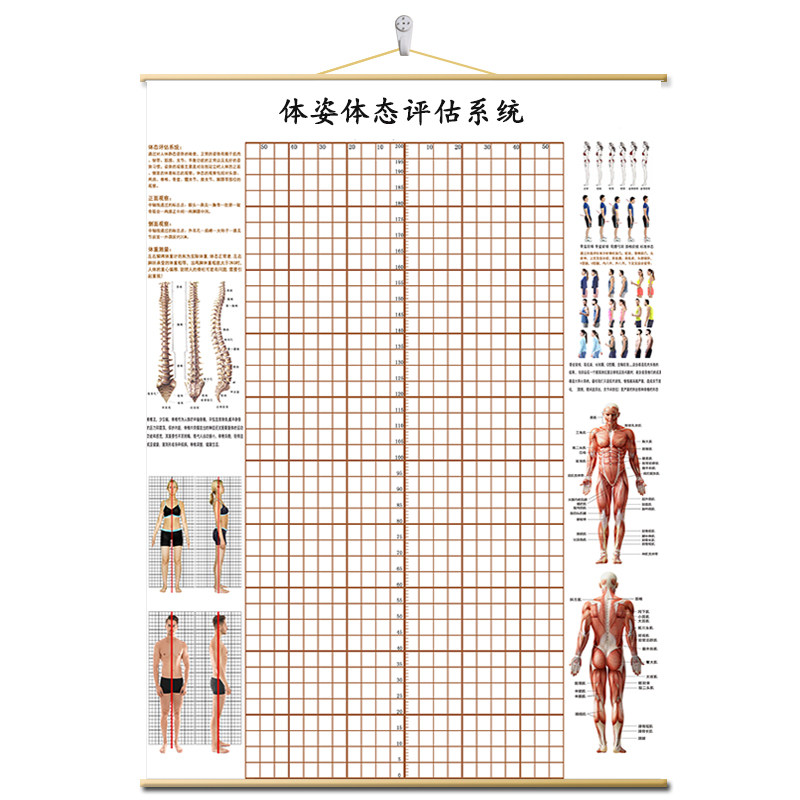 体态评估表墙纸身高体测图健身房体测网格纸身体评估矫正体态表,家装主材,定制壁画,淘宝优惠券,粉丝福利购,淘宝优惠卷
