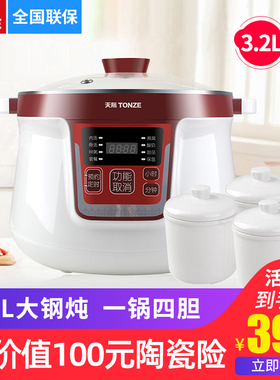 天际 DGDG隔水炖电炖炖锅 大容量家用电炖盅全自动煲汤炖汤