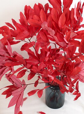 永生板栗叶子红色婚庆装饰摆设真叶软装家居陈设插花秋色干花