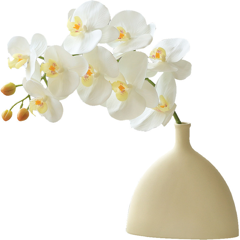 蝴蝶兰假仿真摆设客厅餐桌茶几插小新艺电视柜上装饰品