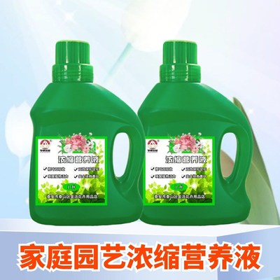柏树树苗专用浓缩营养液家用盆景龙柏塔柏宝塔松老桩水溶性花木肥