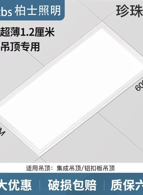300x600集成吊顶灯LED厨卫灯30x60厨房灯铝扣板嵌入式超薄平板灯