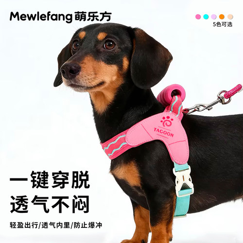 狗狗牵引绳比熊泰迪博美中小型犬背心式宠物胸背带防挣脱遛狗绳子