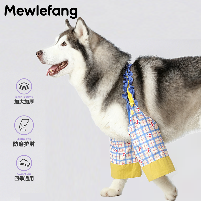 狗狗护肘衣|狗的关节我们来守护