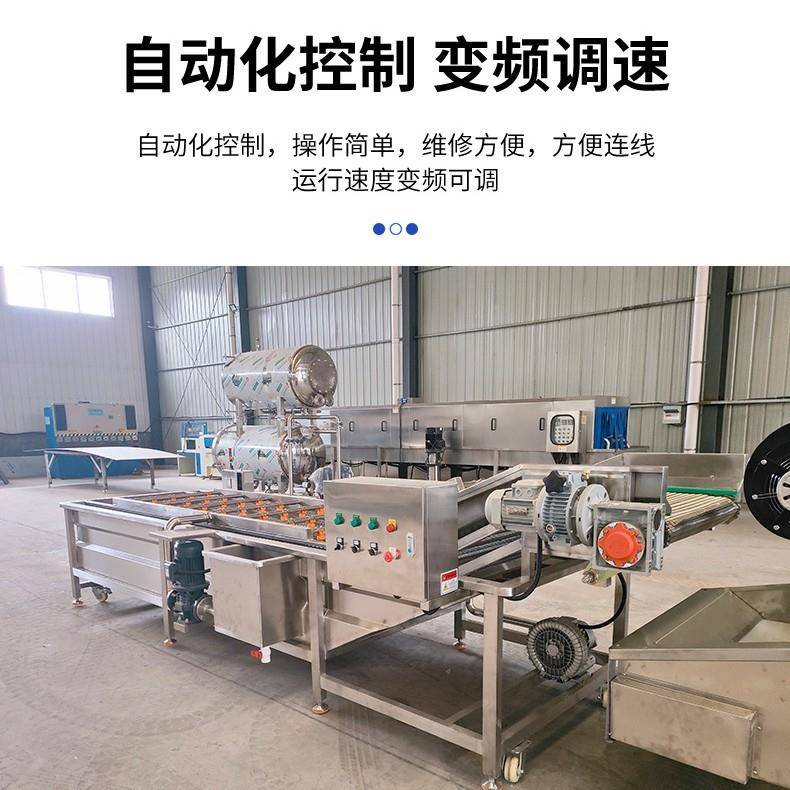 厂家热销荠菜菠菜清洗机气泡冲浪洗菜机叶类菜清洗加工设备