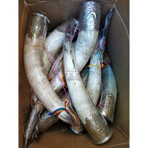 蒙古族结盟杯 天然牛角敬酒杯 舞蹈演出道具 内蒙古手工艺装饰品