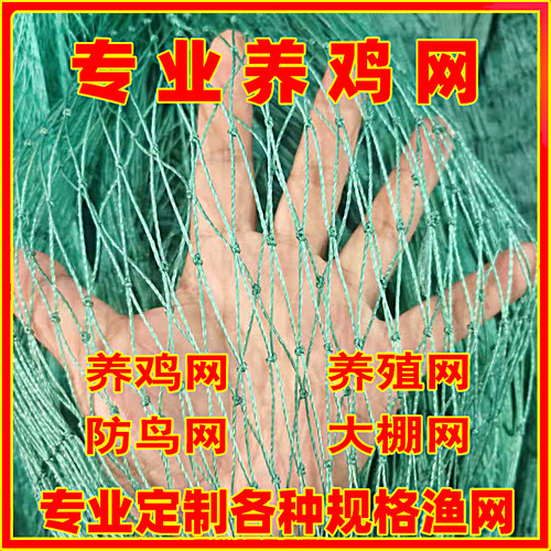尼龙养殖网养鸡网山鸡网围栏网护栏网拦鸡网菜园网防护网防鸟网