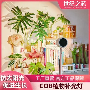 落地全光谱补光灯室内家用热植阳台卉仿太阳光绿植生长灯