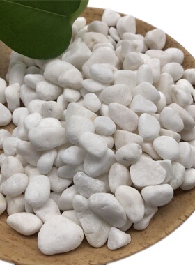 庭院白石子造景店铺装饰小石子阳台园小石头园艺绿化小白石