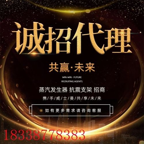 威士曼 新款G小型蒸汽发生器 全自动快速出蒸汽发生机锅炉