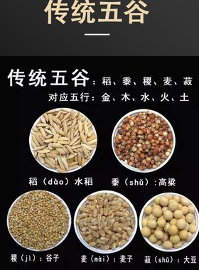 五谷杂粮净宅搬家用 搬家仪式用品带壳带皮 新房新居乔迁五谷丰登
