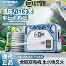自动抽水泵户外 韩国现代浇菜神器浇水机农村家用灌溉浇花充电式