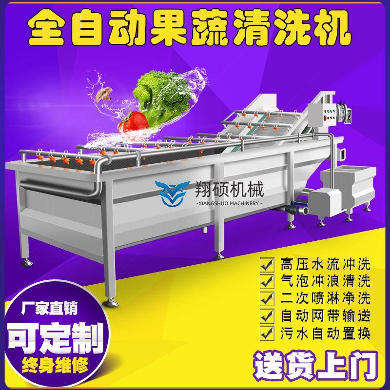 杏子无花果干加工清洗机气泡式喷淋清洗机每小时2吨产量