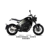 摩车全车贝纳利幼狮纸个性 车身 防水卡通改装