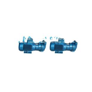 上海 5131变频真空泵2BV系列水环泵 2BVA