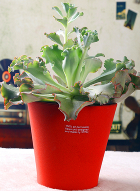 老盆友2019透气大花盆xtou会呼吸的创意多孔陶瓷爆款兰花老桩红陶