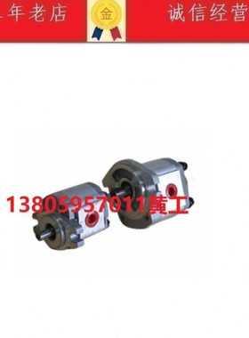 台湾康百世KOMPASS齿轮泵P204RN01DT P204RP01DT P204RU01DT F