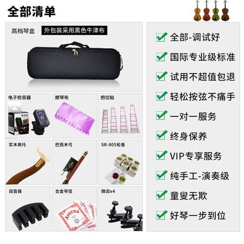 畅想五弦小提琴5弦小提琴欧料独板拼板实木小提琴巴洛克初学者
