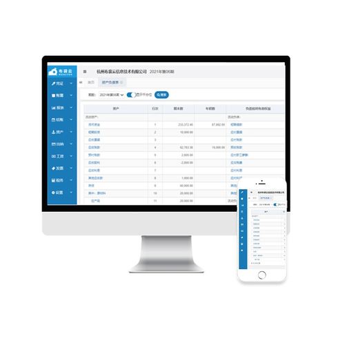 布袋云智能财务软件会计做账出纳记账代理管理系统网页永久终身版