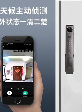 德利DZo电子锁人脸识别智能锁视对讲木门防盗门指纹锁