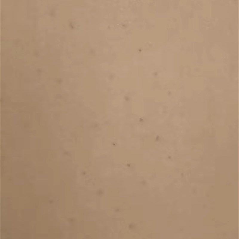 嘉力丰贴墙纸专用工具壁纸撕除工具乳胶漆墙面拉毛打孔滚壁纸除旧