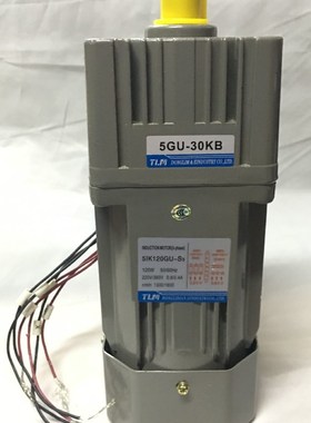 东力齿轮减速马达三相电机IGU配减速箱 W 正方形轴