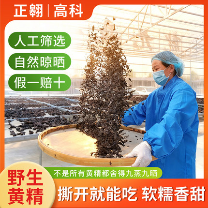 黄精九蒸九制伏牛山老龄野生鸡头黄精九蒸九晒黄精茶泡水泡酒正品