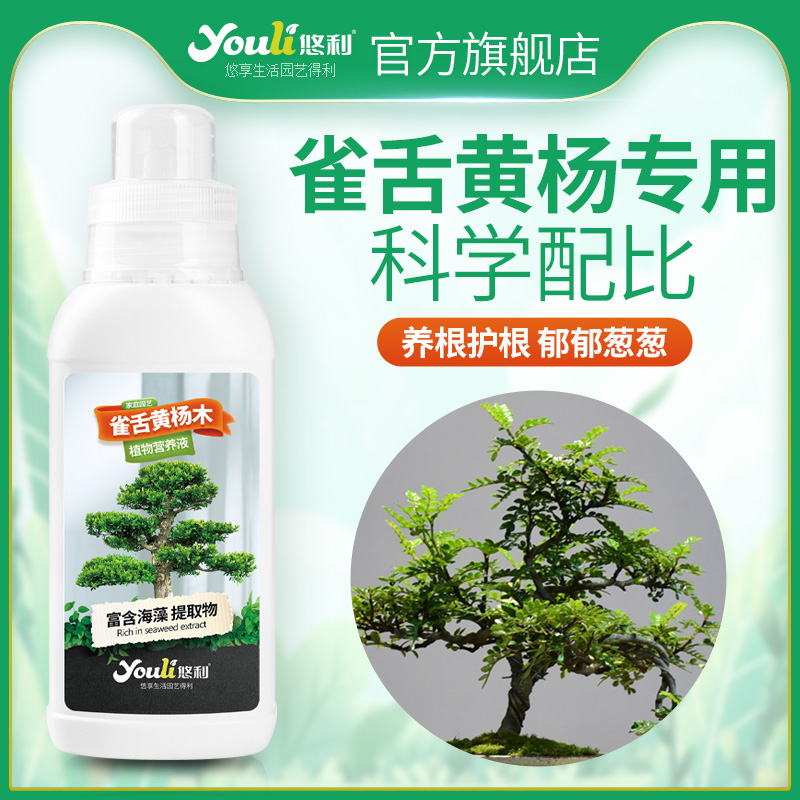 悠利雀舌黄杨木肥料专用肥植物营养液通用黄杨树大树家庭园艺肥