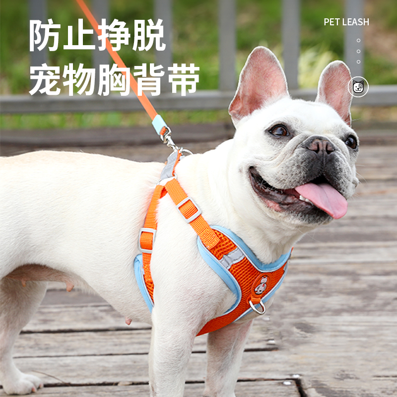 狗狗牵引绳小型犬泰迪比熊博美胸背带猫咪小狗幼犬遛狗绳猫链子