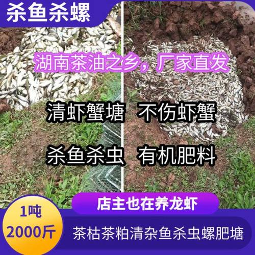 1吨养龙虾清塘专用茶枯茶粕茶麸茶籽饼颗粒不伤虾杀杂鱼杀螺肥塘