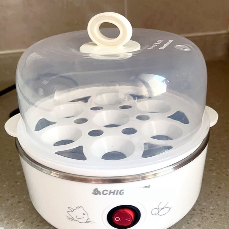 自动防干烧断电多功能家用煮蛋迷C你双层蒸蛋器小型鸡蛋羹神器早