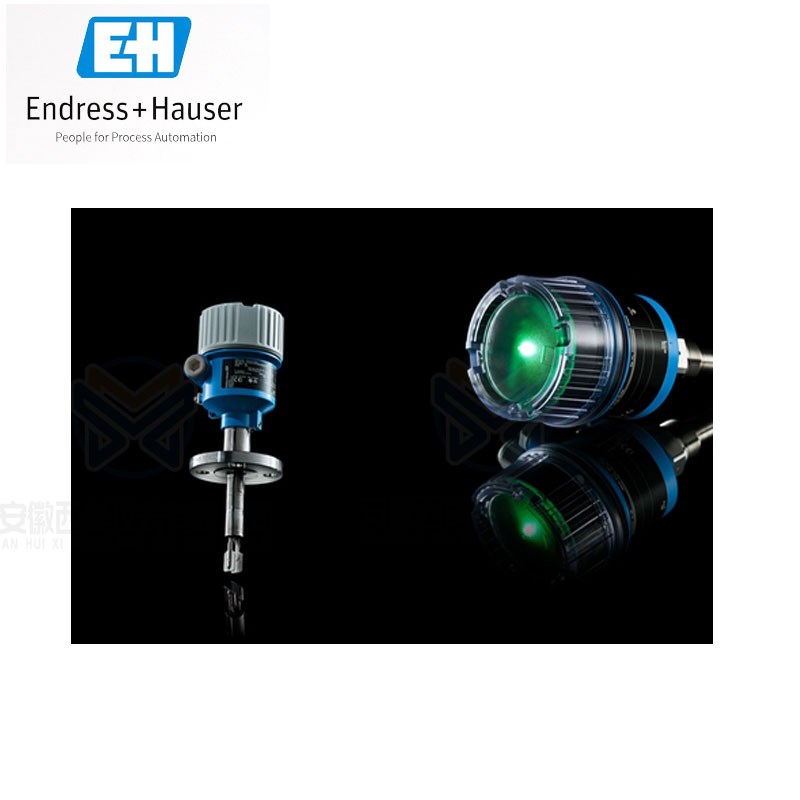 FTL51B FTL41 kFTL31 FTL33  FTL62 FTL64  FTL51H音叉开关 E+H