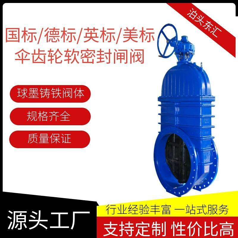 厂家供应伞齿轮闸阀大口径涡轮法兰球墨铸铁Z945X软密封