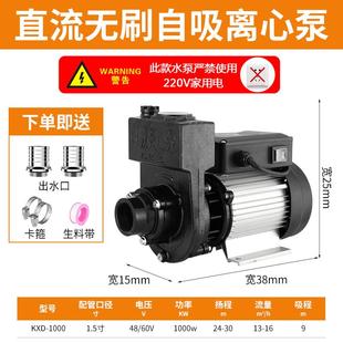 无刷直流自吸离心泵环卫搅拌高扬程水泵2寸24V48V60V洒水车抽水机