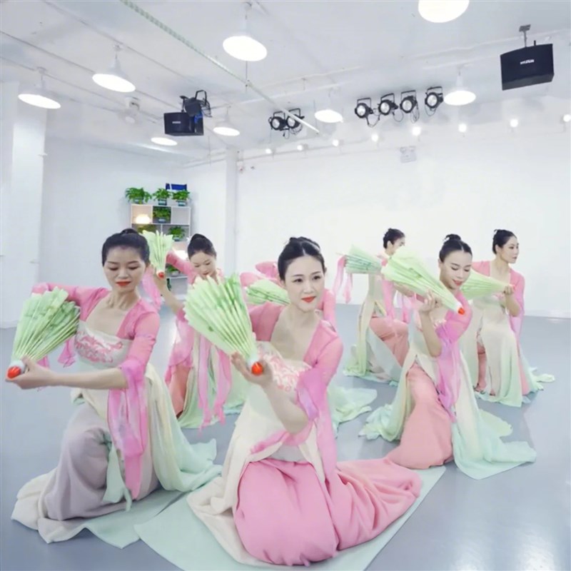 伞舞蹈道具青蛇舞蹈伞成人古典舞蹈专用伞油纸伞中国风表演出道具