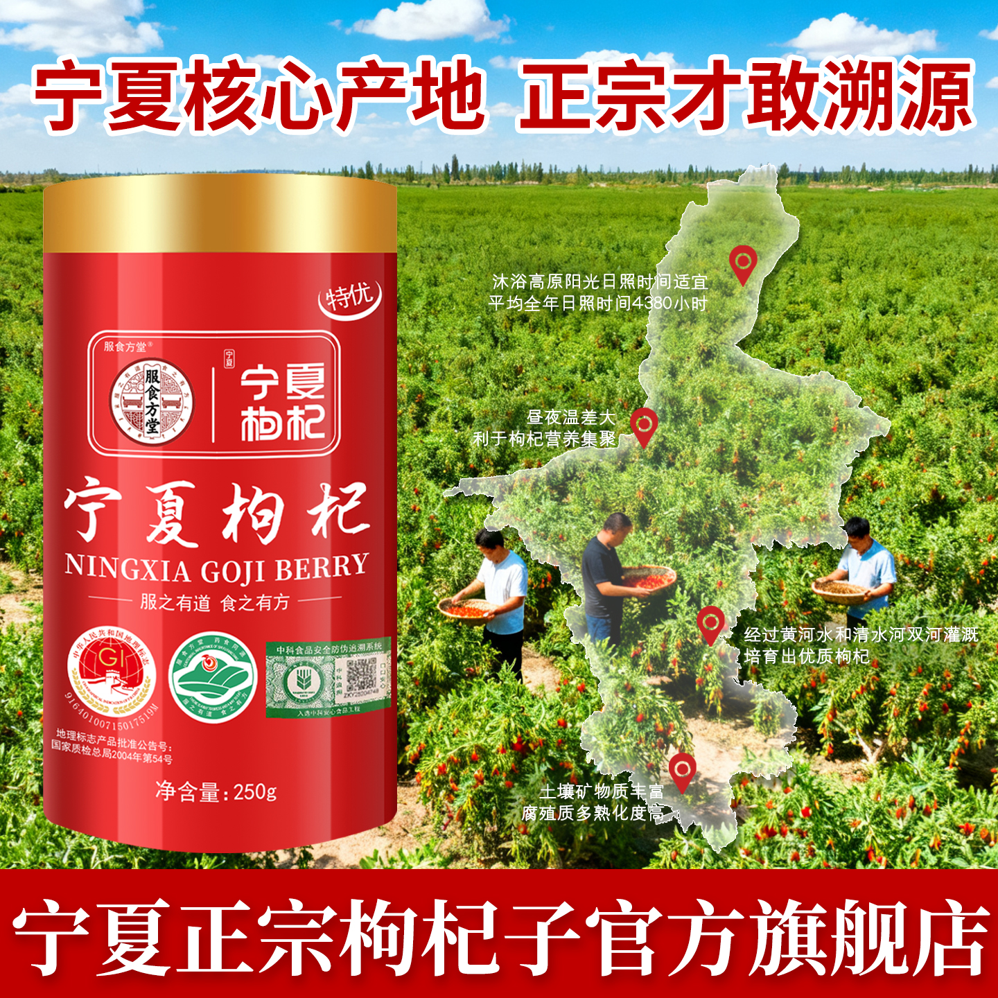 正宗宁夏枸杞特级500g大果无硫熏