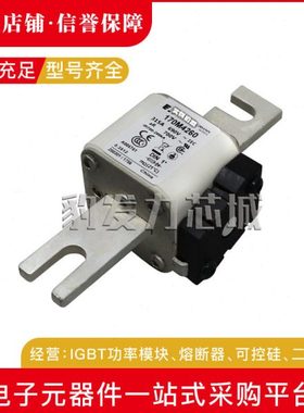 170M4214 170M4215 170M4216 170M4217 170M4218 170M4219熔断器