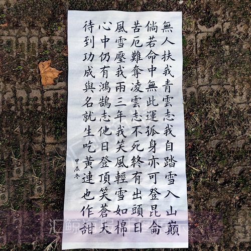 手写书法徐霞客青云志代笔代写欧楷颜楷书真迹原手稿订制毛笔作品