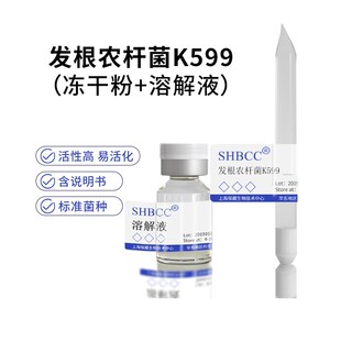 发根农杆菌99用于葫芦科豆科茄科培养基度活化甘油试管菌