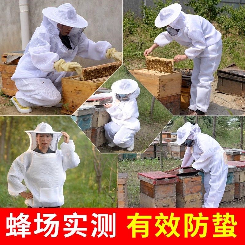 防蜂服蜜蜂半身防蜂服D网眼防护服加厚透气全防蜂衣带蜂帽,畜牧/养殖物资,防蜂衣/防蜂帽/马蜂服,淘宝优惠券,粉丝福利购,淘宝优惠卷