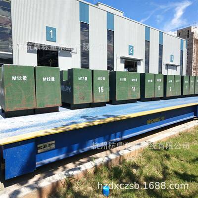 杭州电厂家地磅子汽磅车衡 CS大型S电子称SCS重传感器
