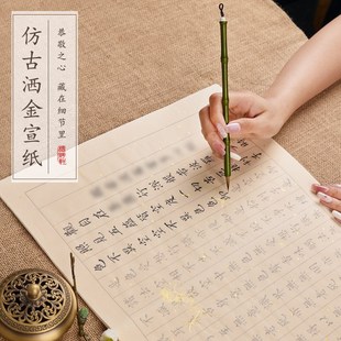 静心手抄经抄经卷金刚手抄本硬笔小楷临摹练字帖成人静心练字解摹
